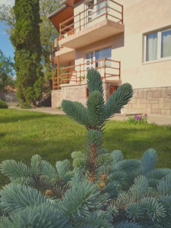 Pensiunea Apolka Panzió Covasna Bagian luar foto